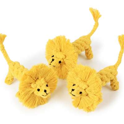 Fashion Pet Molar Toys Lion Training New Design Braided Cotton Rope Dog Chew Toy